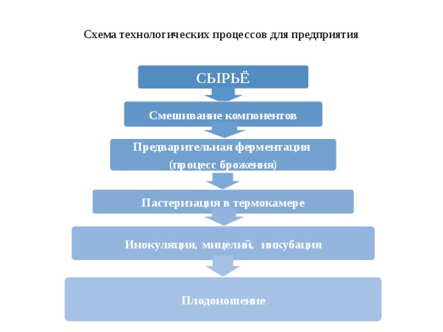 Схема технологических процессов для предприятия    СЫРЬЁ Смешивание компонентов Предварительная ферментация (процесс брожения) Пастеризация в термокамере Инокуляция , мицелий , инкубация Плодоношение 