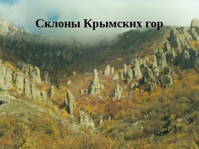 Склоны Крымских гор 
