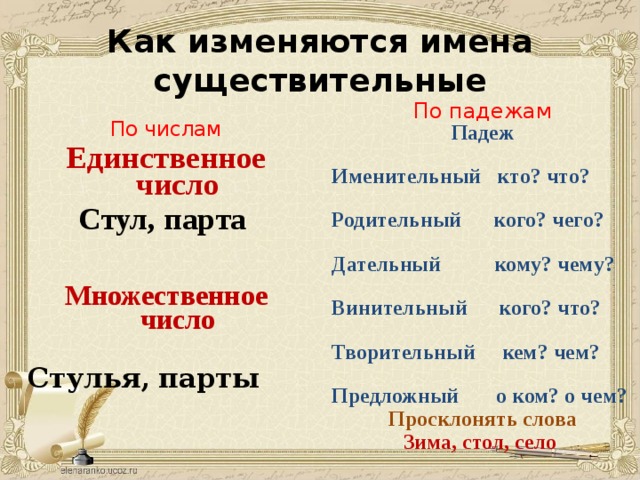 Изменено наименование. Как изменяются имена существительные. Как изменяется имя существительное. Как изменяется имя существительны. Как изменяется имена существительных.