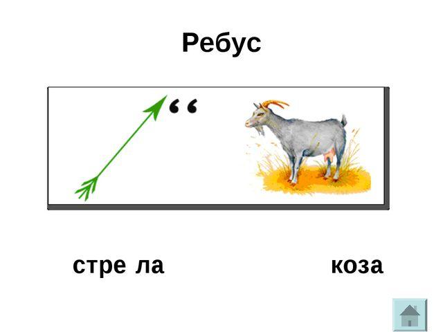 Звуковая схема коза коса