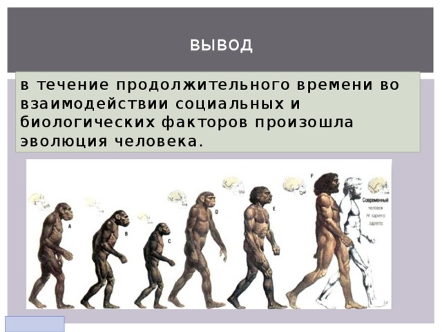 Происхождение и Эволюция человека. Этапы развития человека. Этапы эволюции человека. Эволюционное происхождение человека 9 класс презентация