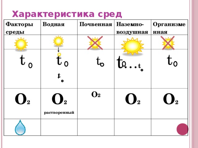 Характеристика сред Факторы среды Водная t Почвенная t t Наземно-воздушная О 2  t О 2 растворенный  Организменная t … t  О 2  t О 2   О 2  