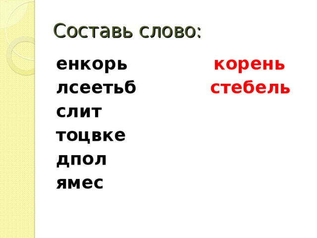 Составь слово: енкорь корень лсеетьб стебель слит  тоцвке  дпол  ямес    