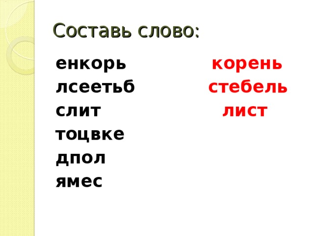 Составь слово: енкорь корень лсеетьб стебель слит лист  тоцвке  дпол  ямес    