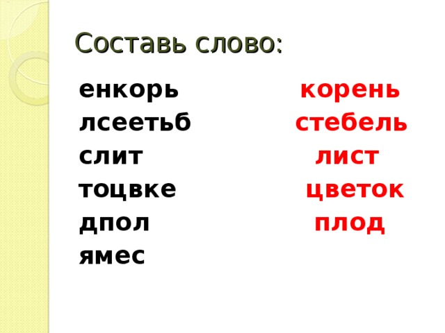 Составь слово: енкорь корень лсеетьб стебель слит лист  тоцвке цветок дпол плод ямес    