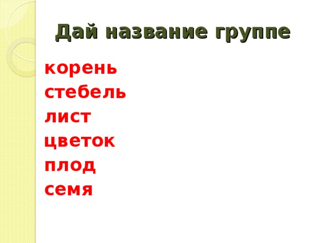 Дай название группе корень стебель лист цветок плод семя   