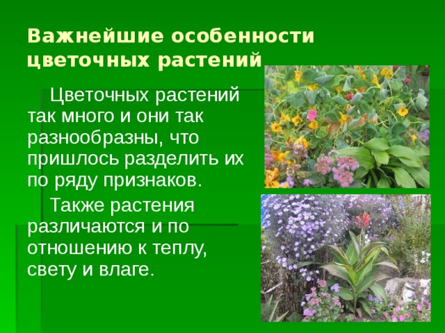 Особенности цветковых