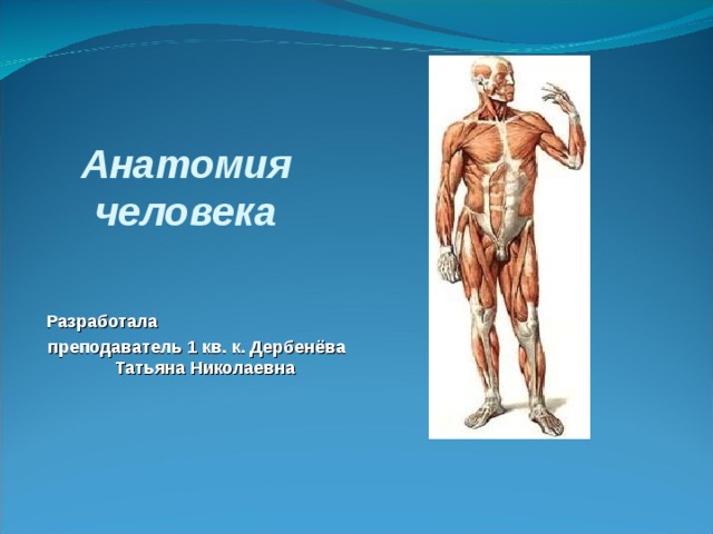 Анатомия человека Разработала преподаватель 1 кв. к. Дербенёва Татьяна Николаевна 