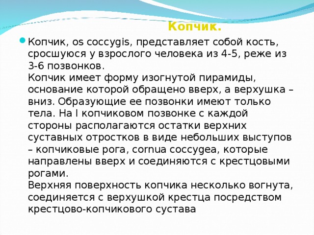 Копчик.  Копчик, os coccygis, представляет собой кость, сросшуюся у взрослого человека из 4-5, реже из 3-6 позвонков.  Копчик имеет форму изогнутой пирамиды, основание которой обращено вверх, а верхушка – вниз. Образующие ее позвонки имеют только тела. На I копчиковом позвонке с каждой стороны располагаются остатки верхних суставных отростков в виде небольших выступов – копчиковые рога, cornua coccygea, которые направлены вверх и соединяются с крестцовыми рогами.  Верхняя поверхность копчика несколько вогнута, соединяется с верхушкой крестца посредством крестцово-копчикового сустава 