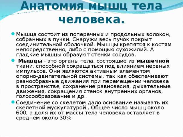 Совокупность слайдов собранных в 1 файле образуют что