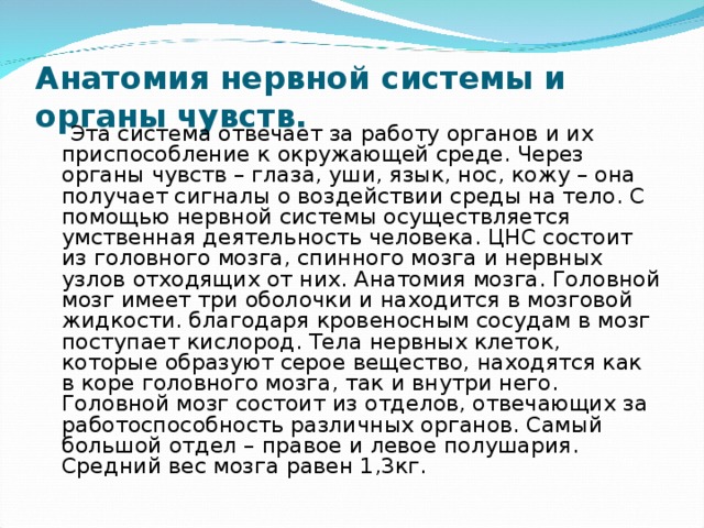 Анатомия нервной системы и органы чувств.   Эта система отвечает за работу органов и их приспособление к окружающей среде. Через органы чувств – глаза, уши, язык, нос, кожу – она получает сигналы о воздействии среды на тело. С помощью нервной системы осуществляется умственная деятельность человека. ЦНС состоит из головного мозга, спинного мозга и нервных узлов отходящих от них. Анатомия мозга. Головной мозг имеет три оболочки и находится в мозговой жидкости. благодаря кровеносным сосудам в мозг поступает кислород. Тела нервных клеток, которые образуют серое вещество, находятся как в коре головного мозга, так и внутри него. Головной мозг состоит из отделов, отвечающих за работоспособность различных органов. Самый большой отдел – правое и левое полушария. Средний вес мозга равен 1,3кг. 