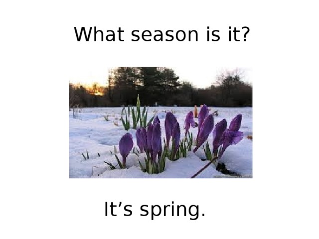 What season is it? It’s spring. 