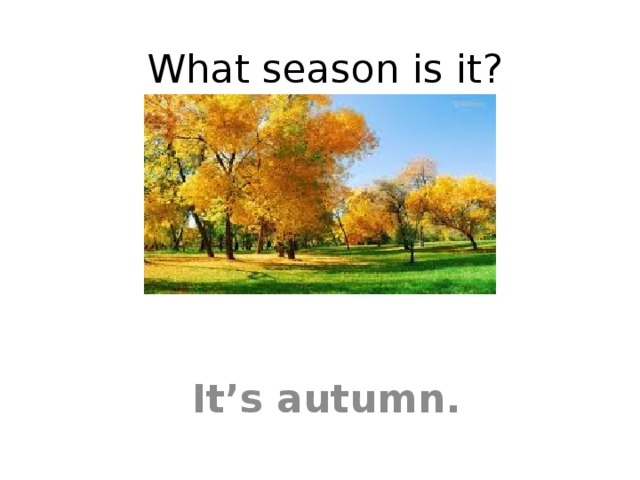 What season is it? It’s autumn. 