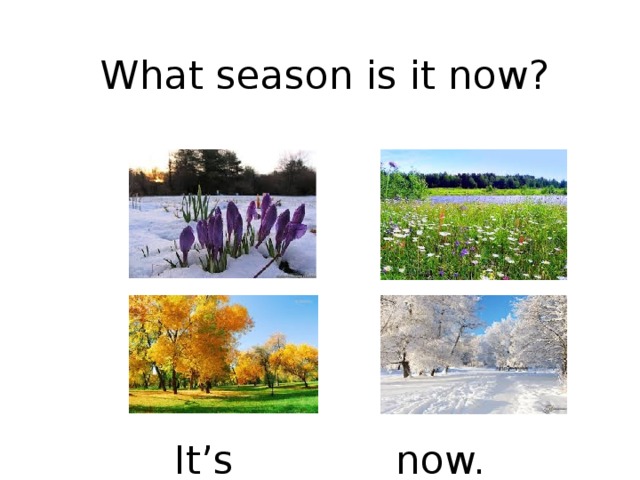 What season is it now? It’s _______ now. 