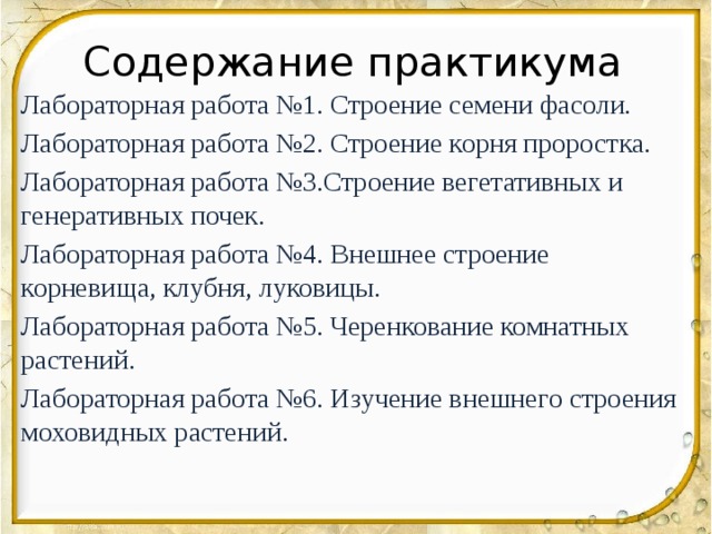 Лабораторная работа строение корня проростка фасоли. Структура лабораторного практикума. Строение корня проростка лабораторная работа 7 класс. Биологический практикум.