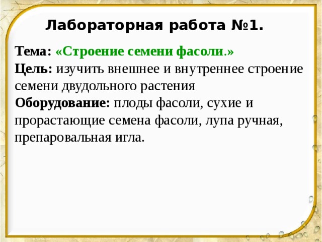 Биология лабораторная работа строение семян двудольных растений