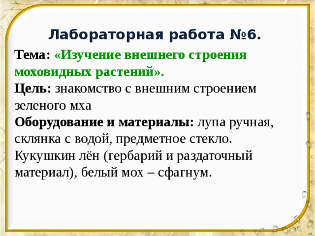 Лабораторная мхи