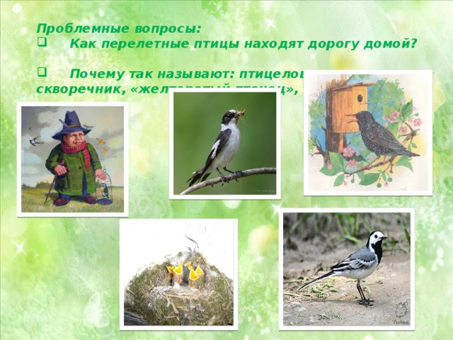 Презентация перелетные птицы окружающий мир