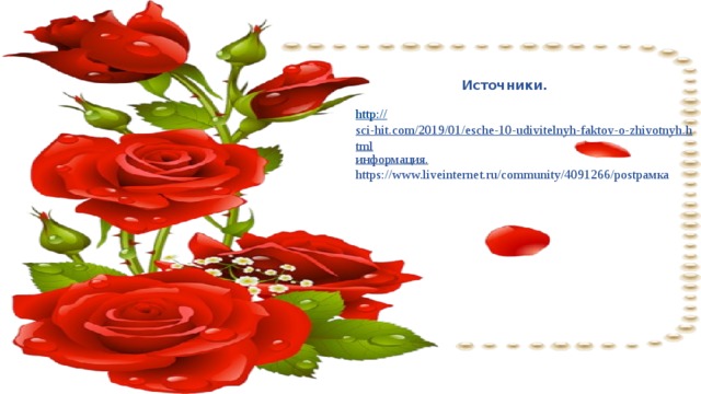 Источники. http:// sci-hit.com/2019/01/esche-10-udivitelnyh-faktov-o-zhivotnyh.html информация. https://www.liveinternet.ru/community/4091266/postрамка 