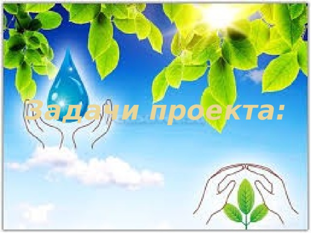Задачи проекта:   