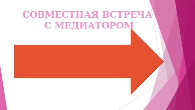 СОВМЕСТНАЯ ВСТРЕЧА С МЕДИАТОРОМ 