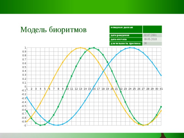 Биоритмы внутренние часы человека проект по биологии 9 класс