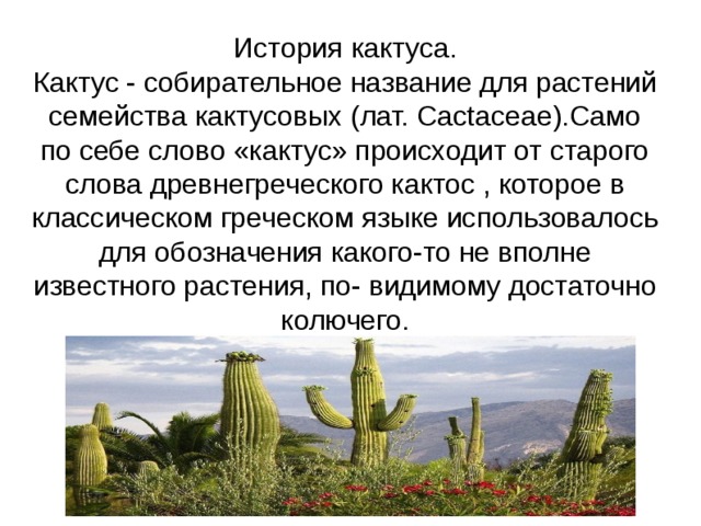 Рассказ про кактус 2 класс. Описание кактуса. Рассказ о кактусе. Проект про Кактус. История кактуса.