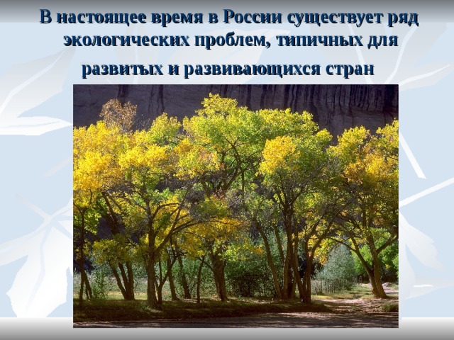 В настоящее время в России существует ряд  экологических проблем, типичных для развитых и развивающихся стран  