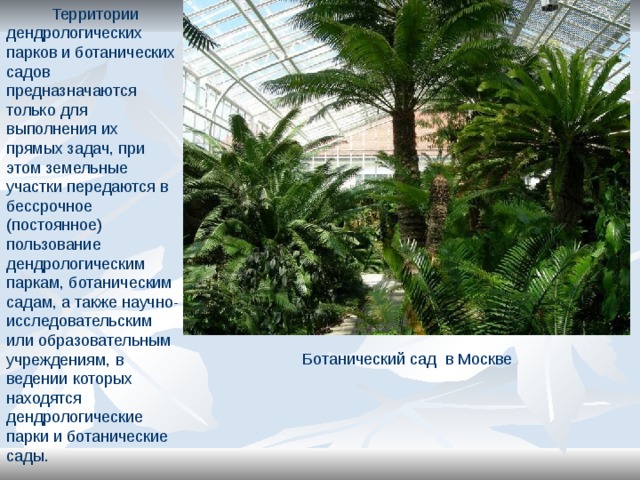  Территории дендрологических парков и ботанических садов предназначаются только для выполнения их прямых задач, при этом земельные участки передаются в бессрочное (постоянное) пользование дендрологическим паркам, ботаническим садам, а также научно-исследовательским или образовательным учреждениям, в ведении которых находятся дендрологические парки и ботанические сады. Ботанический сад в Москве 