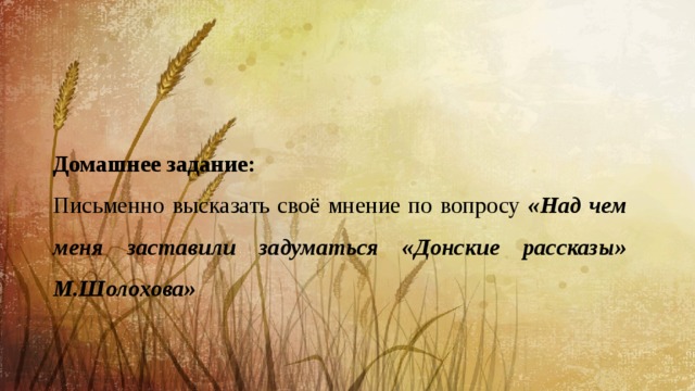 Домашнее задание: Письменно высказать своё мнение по вопросу «Над чем меня заставили задуматься «Донские рассказы» М.Шолохова» 