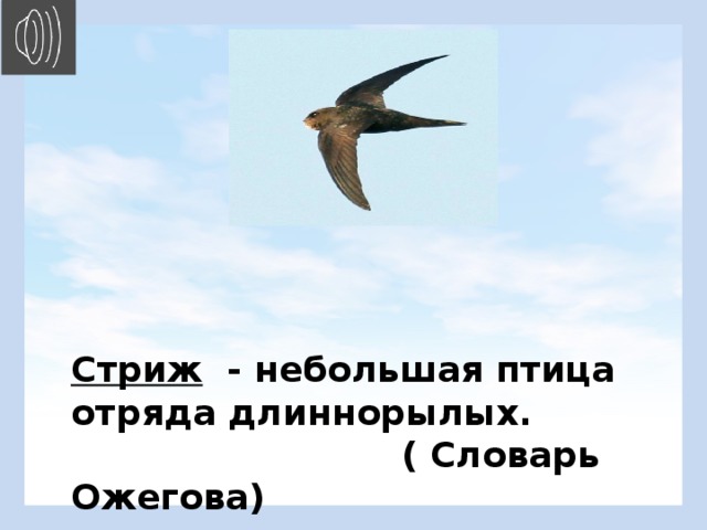 Конспект урока чтение 4 класс стрижонок скрип