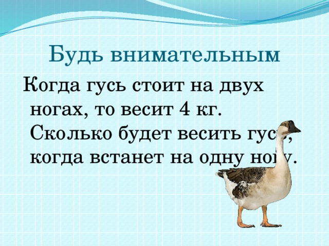 Сколько весит гусь