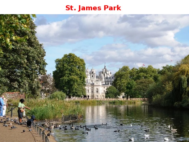 St. James Park 