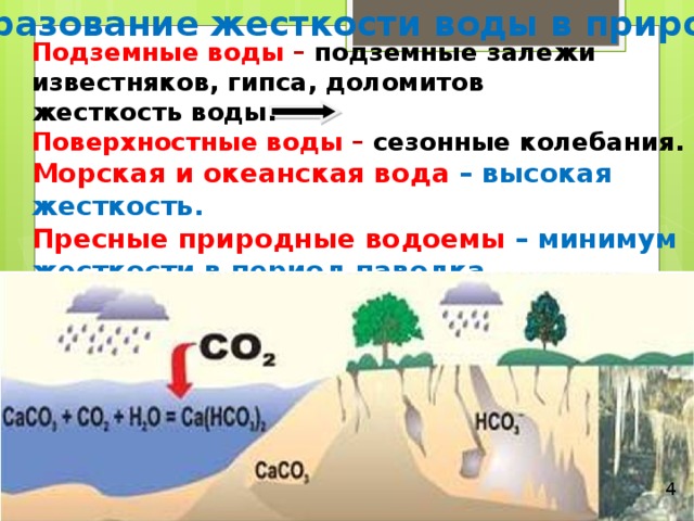 Важнейшие соединения кальция жесткость воды презентация