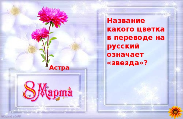 Название какого цветка в переводе на русский означает «звезда»? Астра 