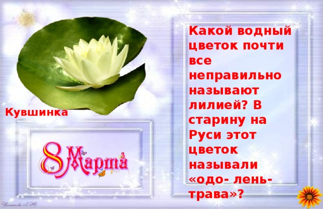 Какой водный цветок почти все неправильно называют лилией? В старину на Руси этот цветок называли «одо- лень-трава»?  Кувшинка 