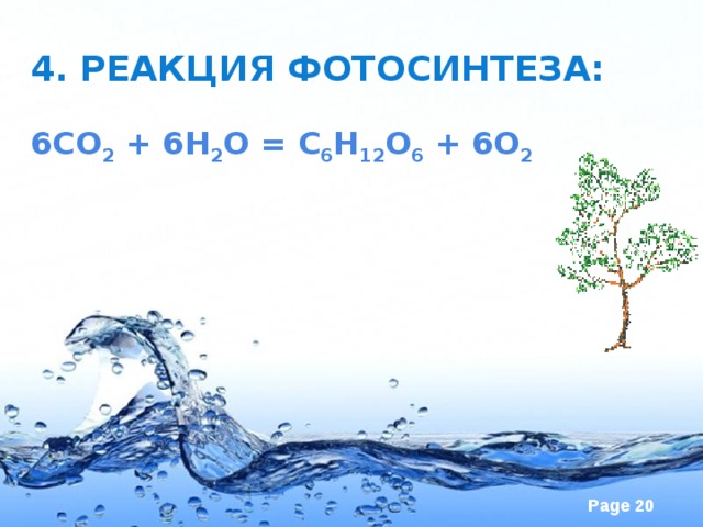 4. Реакция фотосинтеза: 6СО 2 + 6Н 2 О = С 6 Н 12 О 6 + 6О 2 