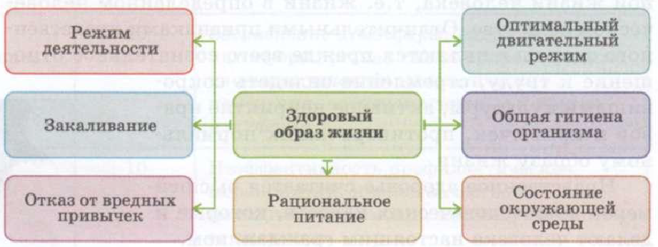 Проект на тему факторы способствующие укреплению здоровья