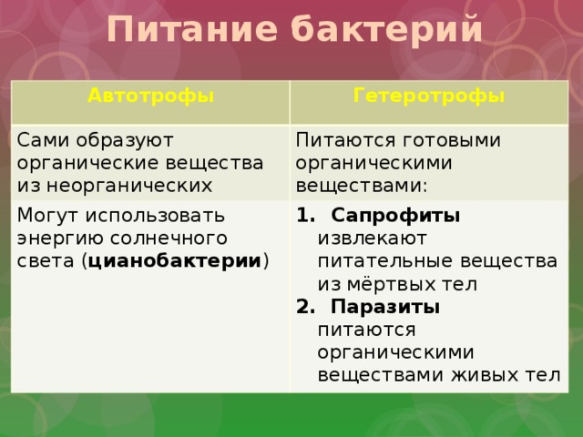 Организмы образующие органические вещества из неорганических. Бактерии питающиеся неорганическими соединениями. Бактерии питающиеся органическими веществами мертвых тел. Бактерии автотрофы органические вещества из неорганических. Образуют органические вещества из неорганических.