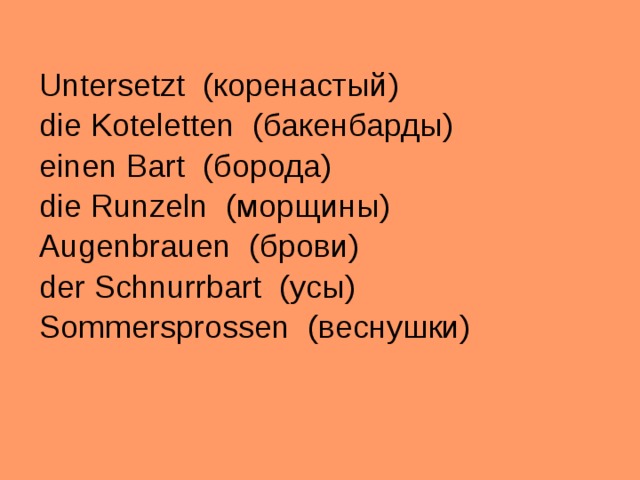 Untersetzt (коренастый) die Koteletten ( бакенбарды) einen Bart (борода) die Runzeln ( морщины) Augenbrauen (брови) der Schnurrbart (усы) Sommersprossen ( веснушки) 