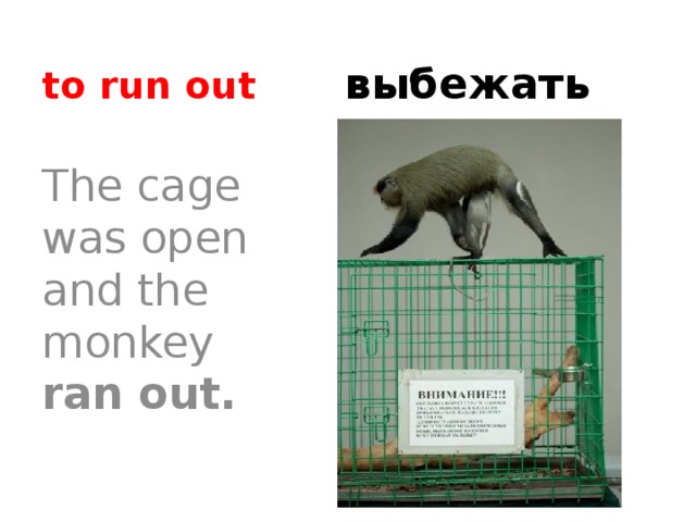 to run out выбежать The cage was open and the monkey ran out. 