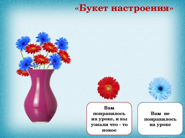 «Букет настроения» Вам понравилось на уроке, и вы узнали что - то новое  Вам не понравилось на уроке  