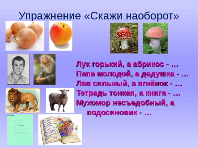 Упражнение «Скажи наоборот» Лук горький, а абрикос - … Папа молодой, а дедушка - … Лев сильный, а ягнёнок - … Тетрадь тонкая, а книга - … Мухомор несъедобный, а  подосиновик - …  