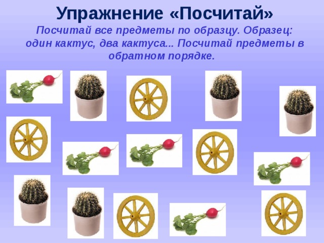    Упражнение «Посчитай»  Посчитай все предметы по образцу. Образец: один кактус, два кактуса... Посчитай предметы в обратном порядке.    