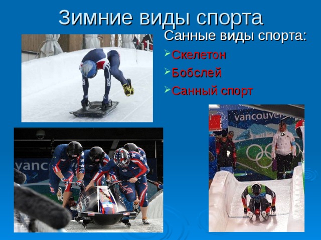 Зимние виды спорта Санные виды спорта: Скелетон Бобслей Санный спорт 