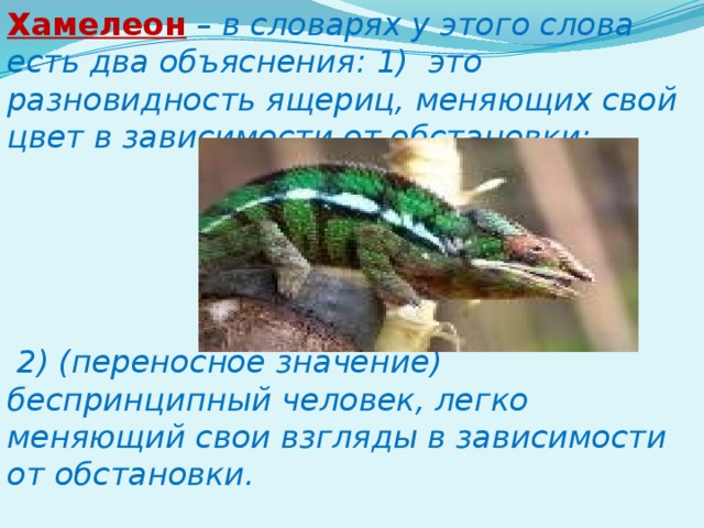 Хамелеон  – в словарях у этого слова есть два объяснения: 1) это разновидность ящериц, меняющих свой цвет в зависимости от обстановки;      2) (переносное значение) беспринципный человек, легко меняющий свои взгляды в зависимости от обстановки. 