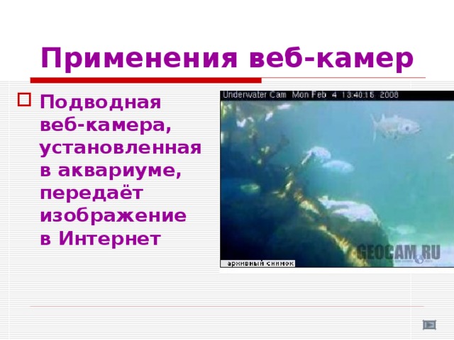 Применения веб-камер Подводная  веб-камера,  установленная  в аквариуме,  передаёт изображение  в Интернет  
