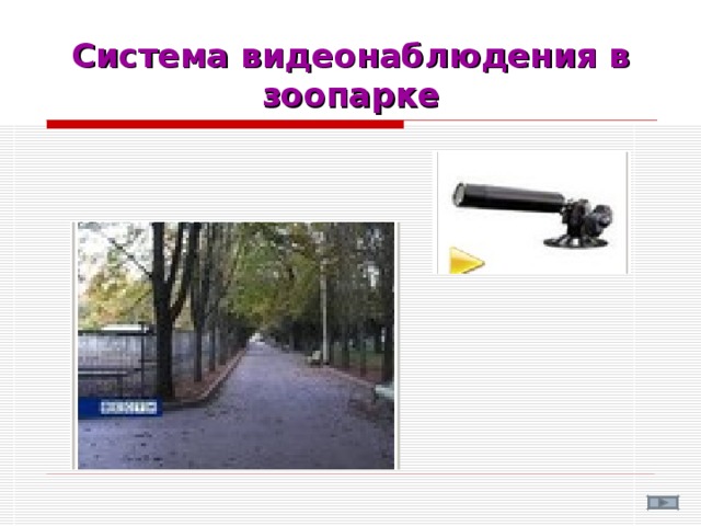 Система видеонаблюдения в зоопарке 