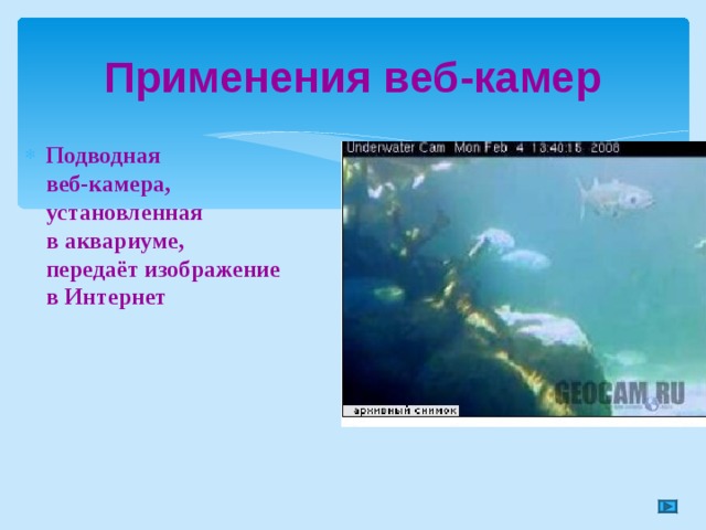 Применения веб-камер Подводная  веб-камера,  установленная  в аквариуме,  передаёт изображение  в Интернет  