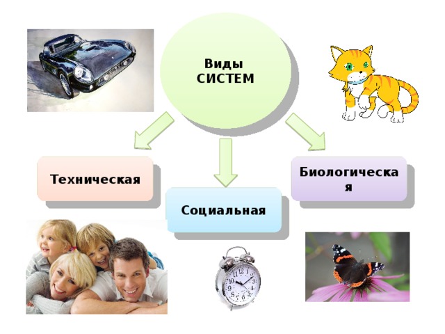 Виды СИСТЕМ Техническая Биологическая Социальная 